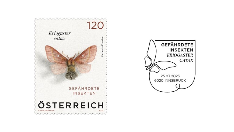Special stamp butterfly